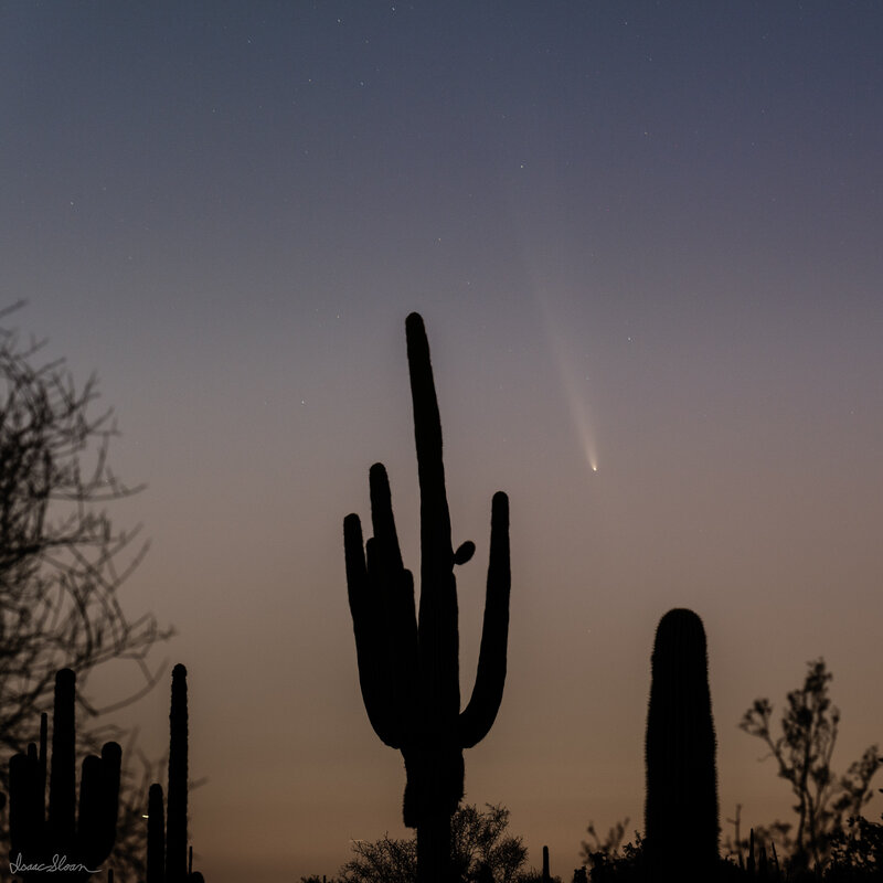 Comet Over the Saguaros